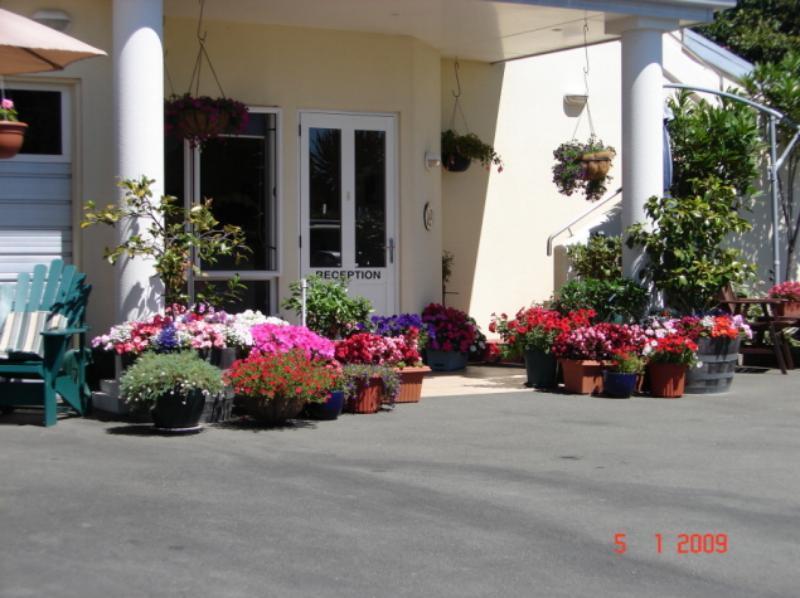 Boutique Motel Nelson Zewnętrze zdjęcie